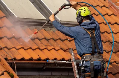 Démoussage et hydrofuge de toiture à Monacia-d'Aullène